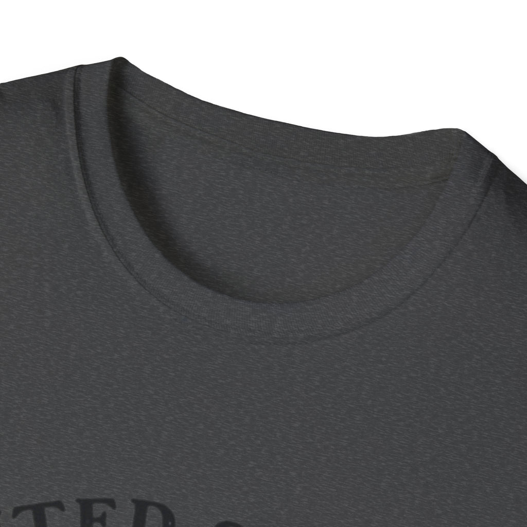 250th Anniversary T-Shirt — United States of America 1776–2026 Flag Tee