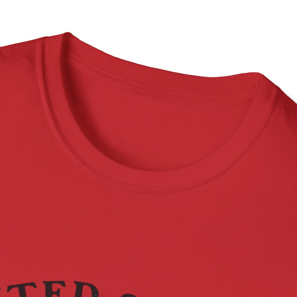 250th Anniversary T-Shirt — United States of America 1776–2026 Flag Tee