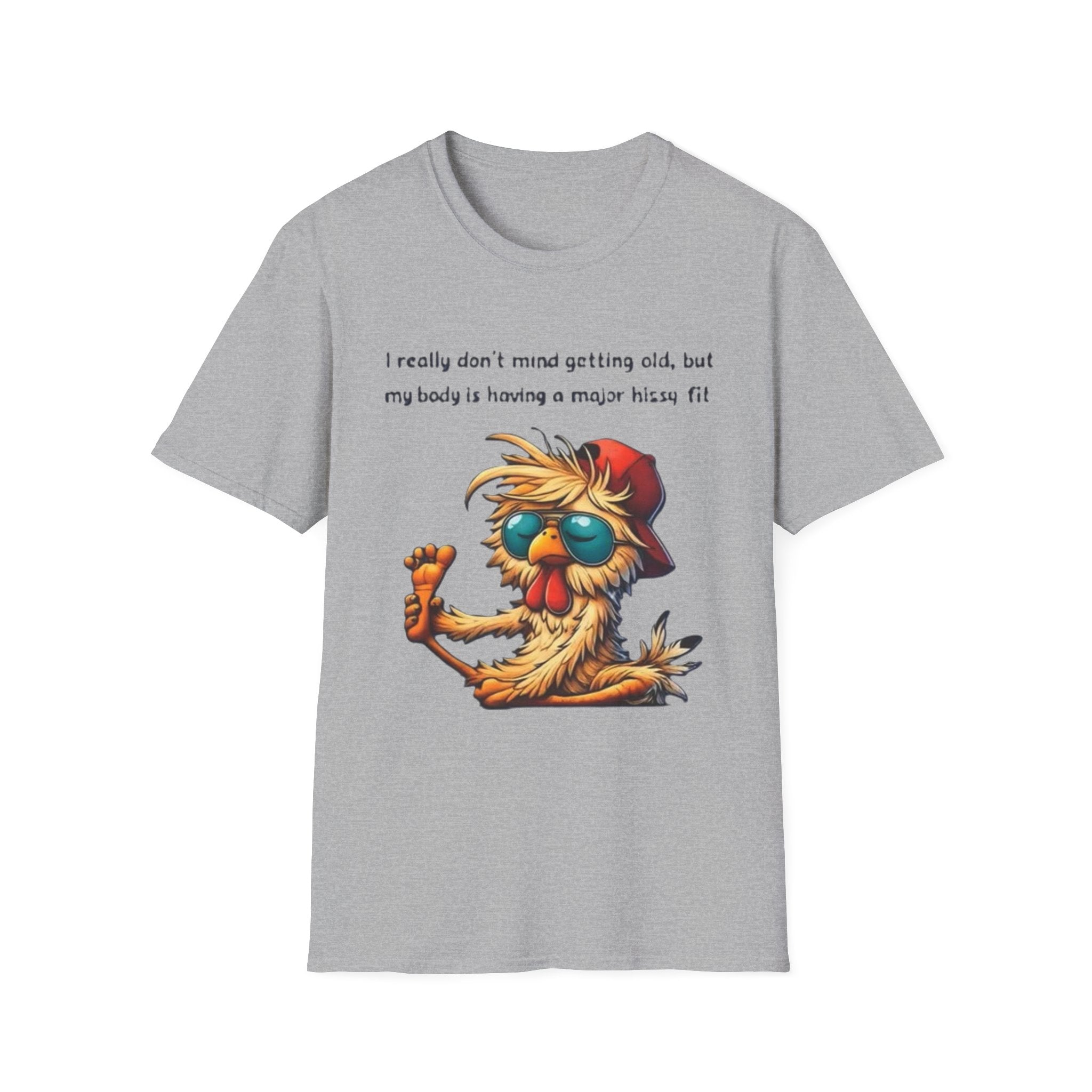 Funny Retirement T-Shirt — "I Really Don't Mind Getting Old, My Body Is Having a Major Hissy Fit"