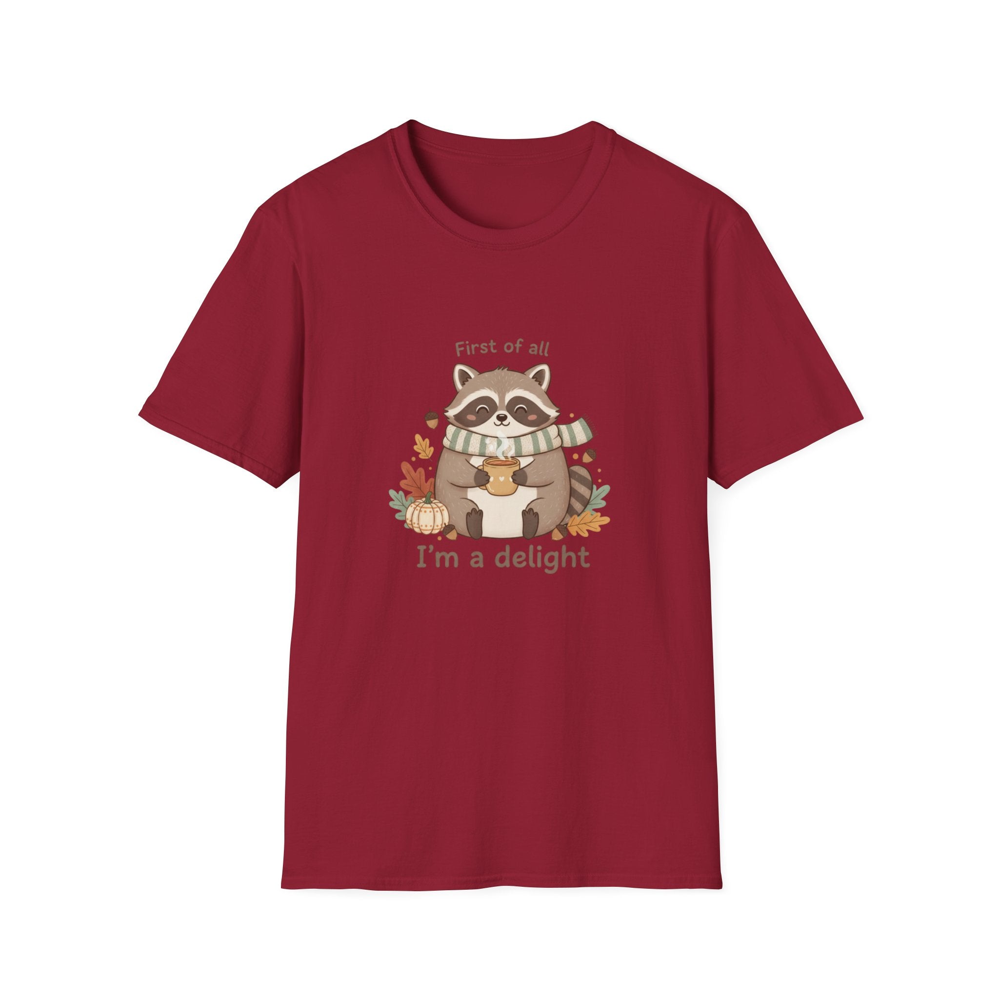 Cozy Raccoon Autumn Shirt | I'm a delight tee