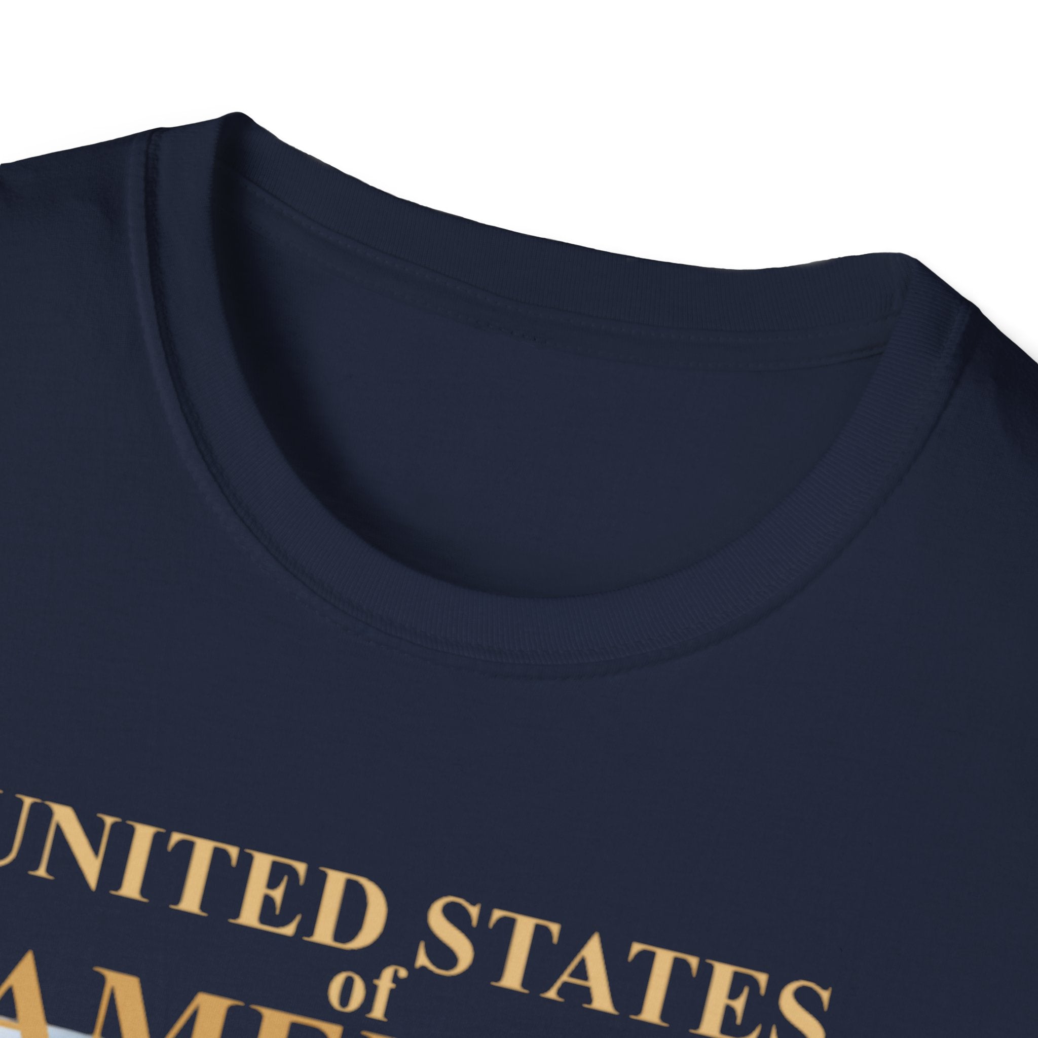 America 250th Anniversary T-Shirt – Bald Eagle, Flag & Liberty Icons (1776–2026)
