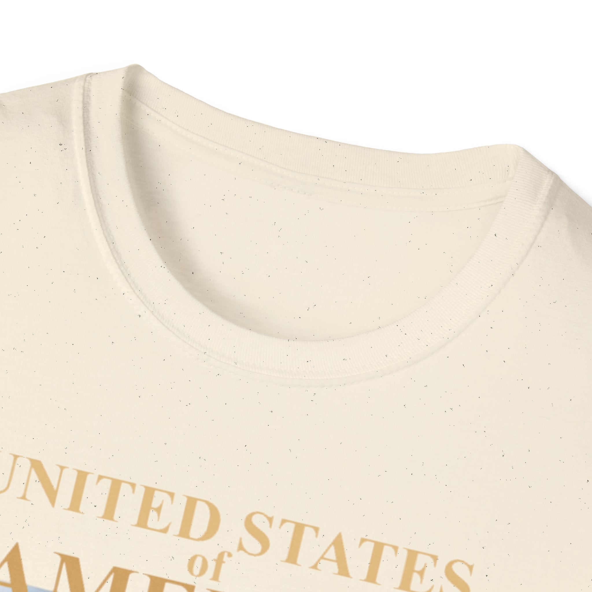 America 250th Anniversary T-Shirt – Bald Eagle, Flag & Liberty Icons (1776–2026)