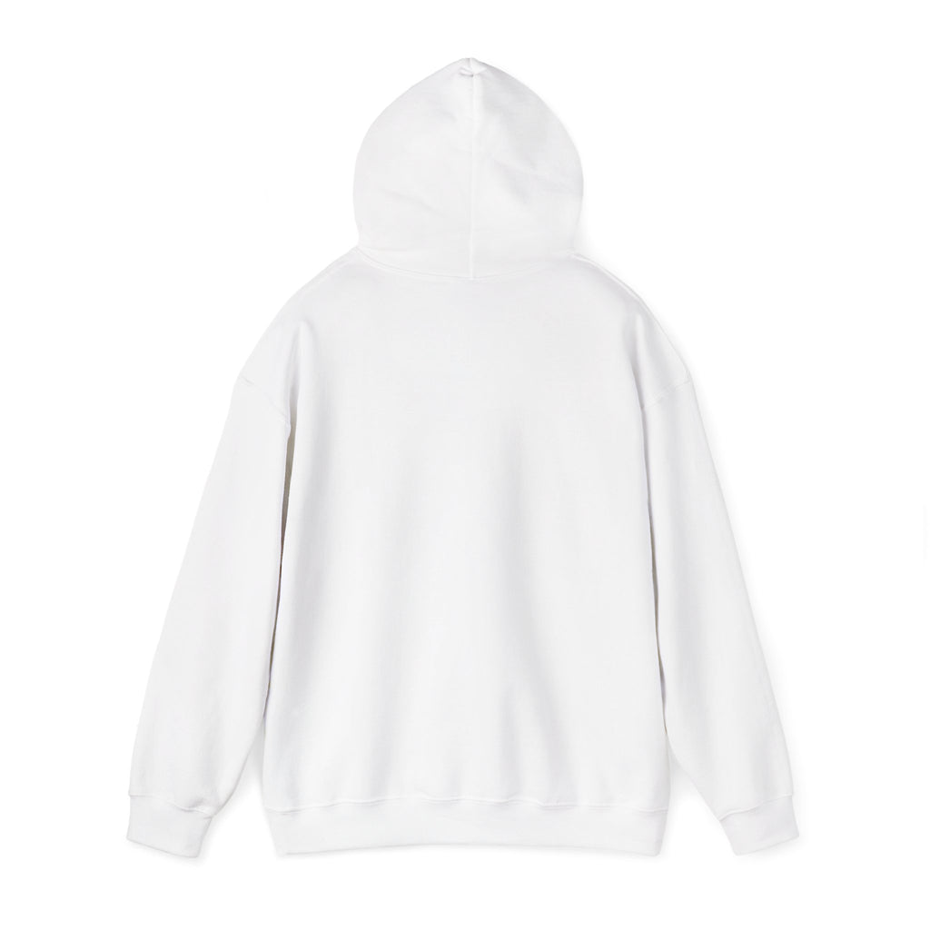 Tacos & Tequila Hoodie | Cinco de Mayo fiesta shirt, margarita taco party