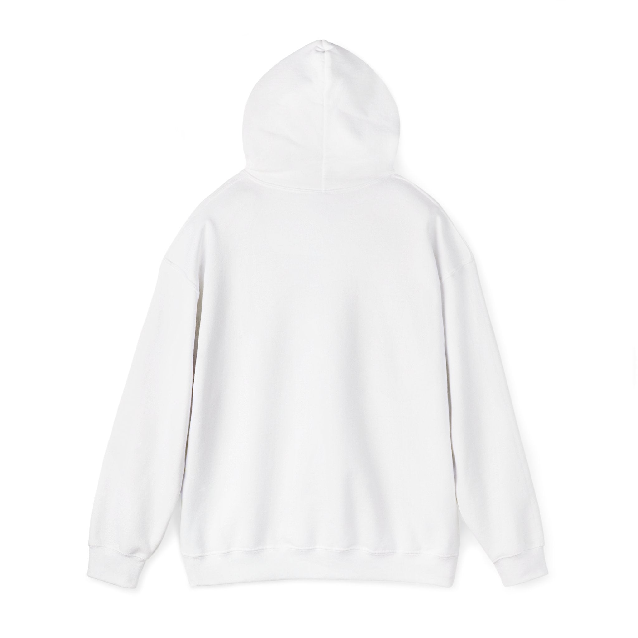 Tacos & Tequila Hoodie | Cinco de Mayo fiesta shirt, margarita taco party