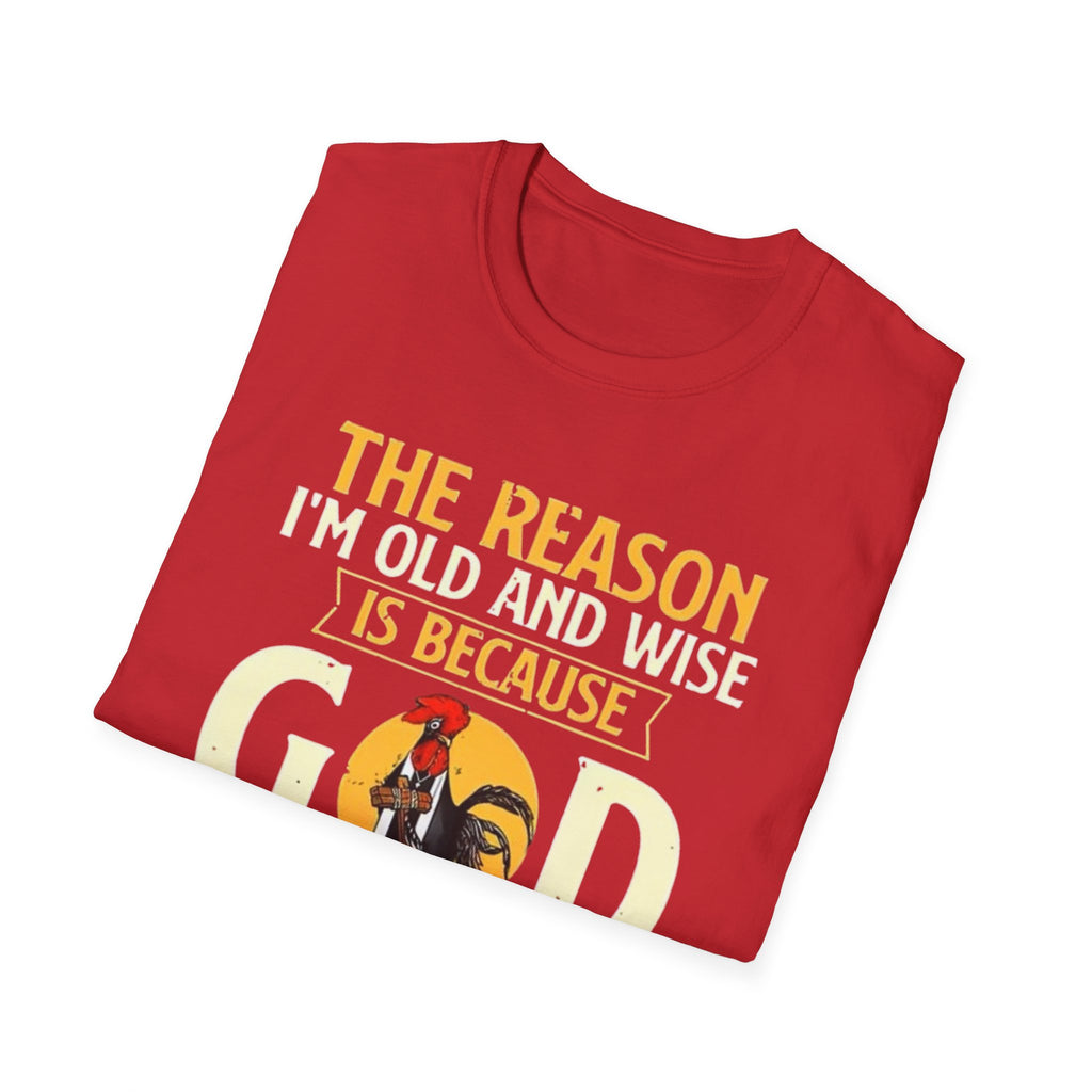 T-Shirt — "The Reason I’m Old and Wise Is Because God Protected Me When I Was Young and Stupid" Christian Faith Tee