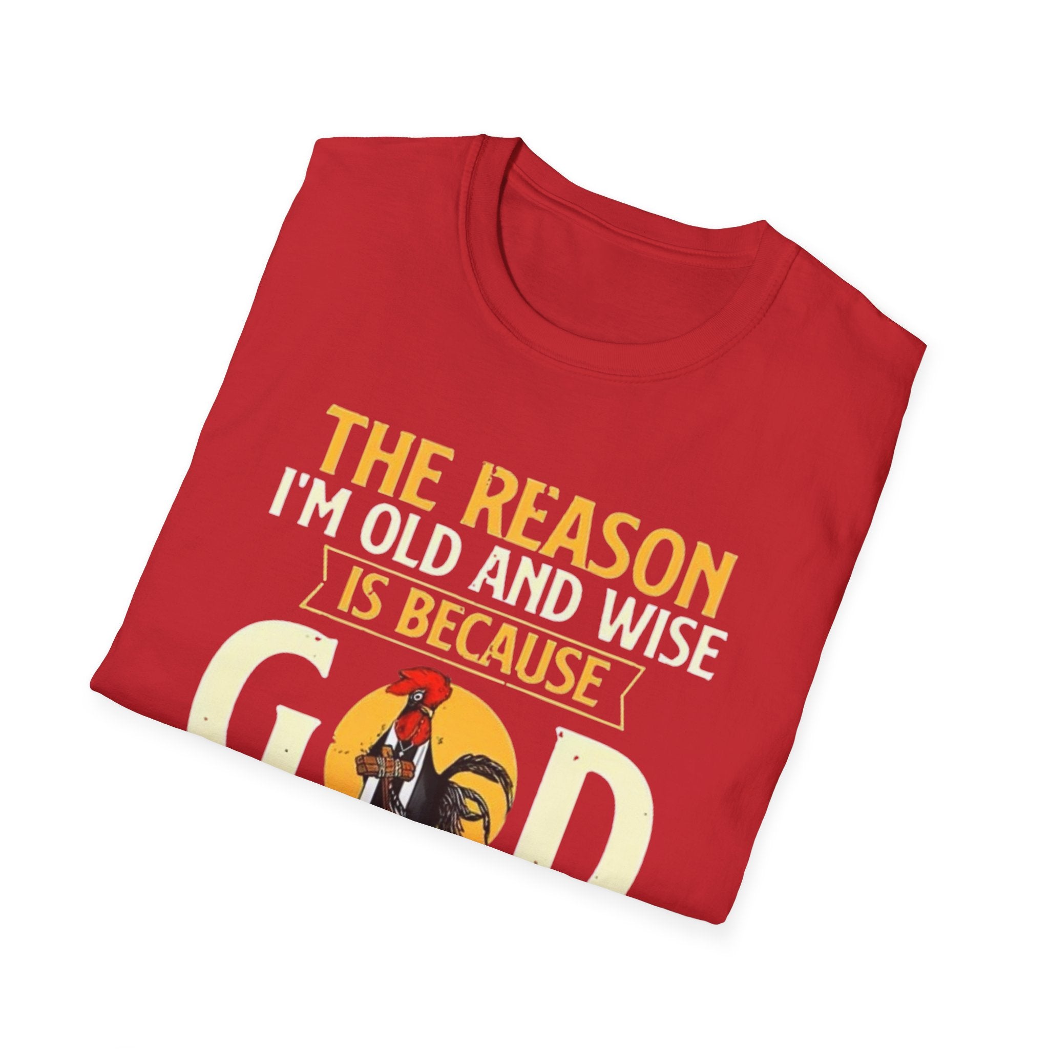 T-Shirt — "The Reason I’m Old and Wise Is Because God Protected Me When I Was Young and Stupid" Christian Faith Tee