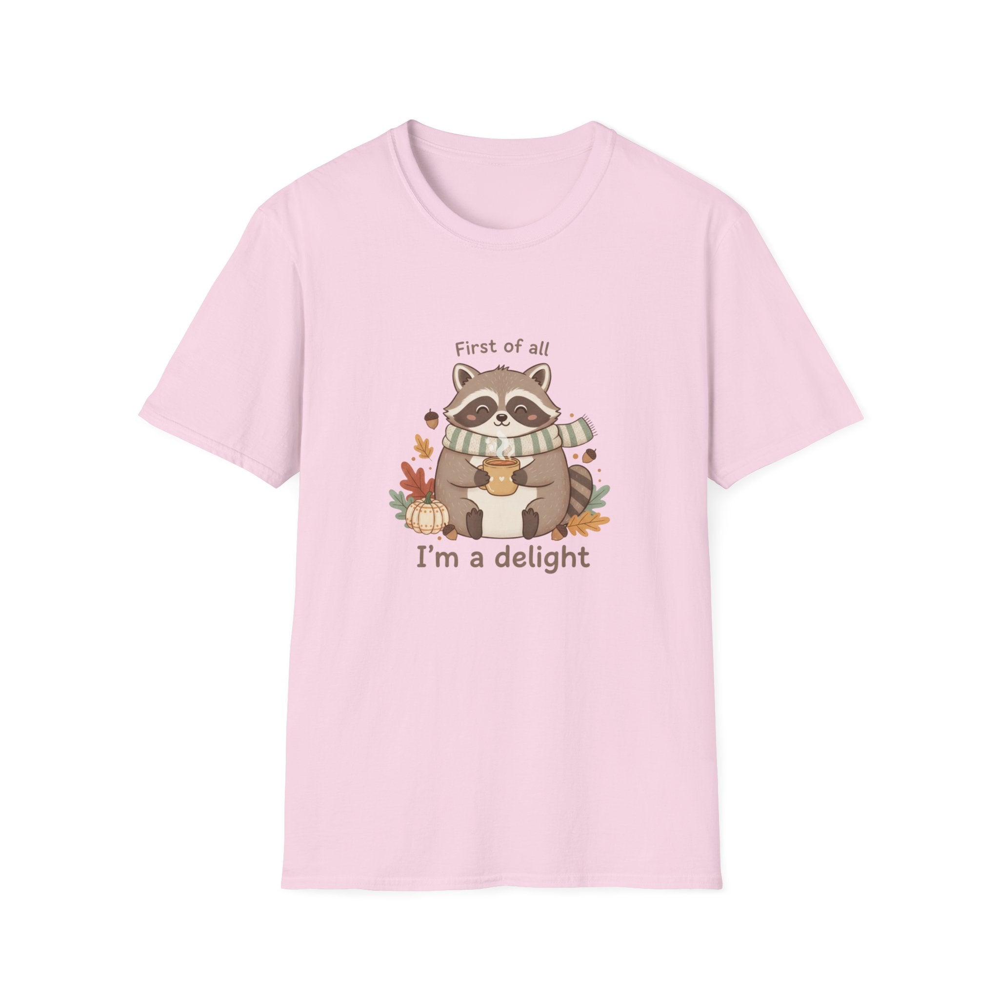 Cozy Raccoon Autumn Shirt | I'm a delight tee