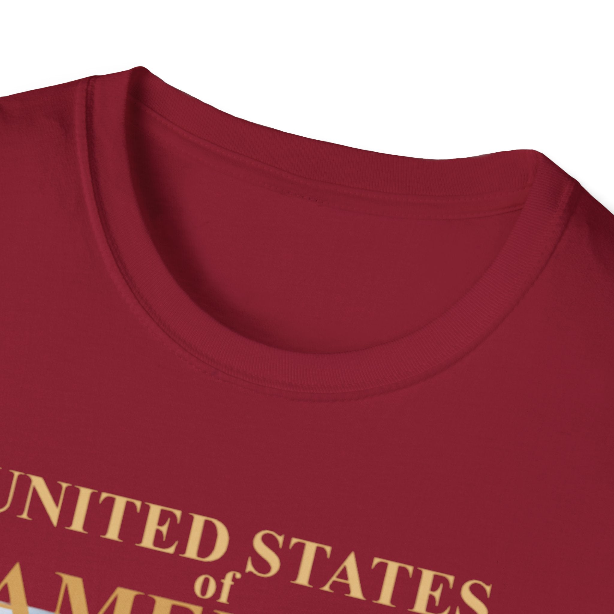 America 250th Anniversary T-Shirt – Bald Eagle, Flag & Liberty Icons (1776–2026)