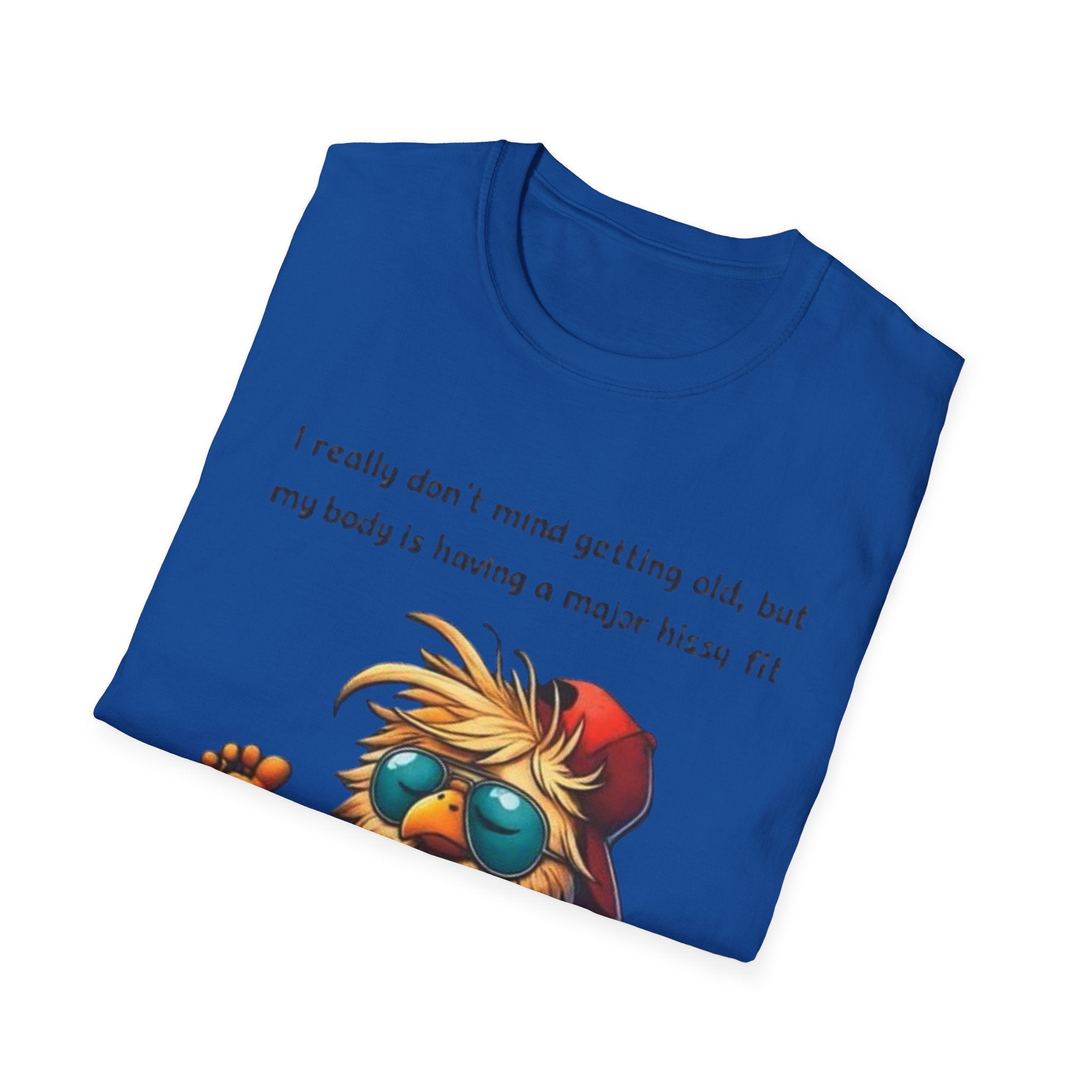 Funny Retirement T-Shirt — "I Really Don't Mind Getting Old, My Body Is Having a Major Hissy Fit"