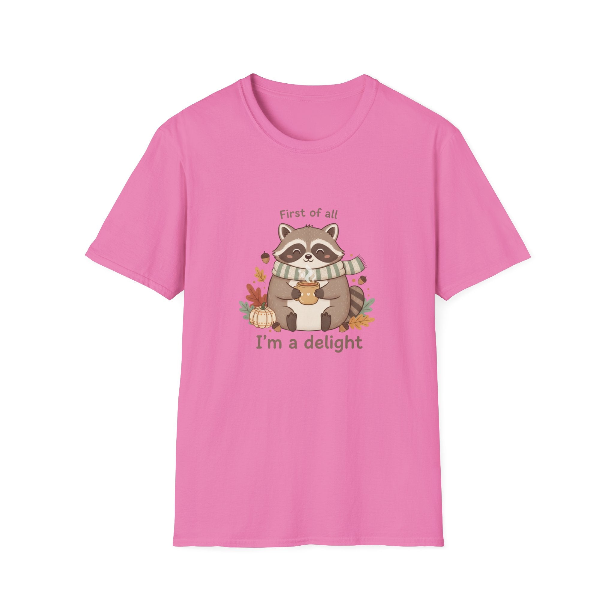 Cozy Raccoon Autumn Shirt | I'm a delight tee