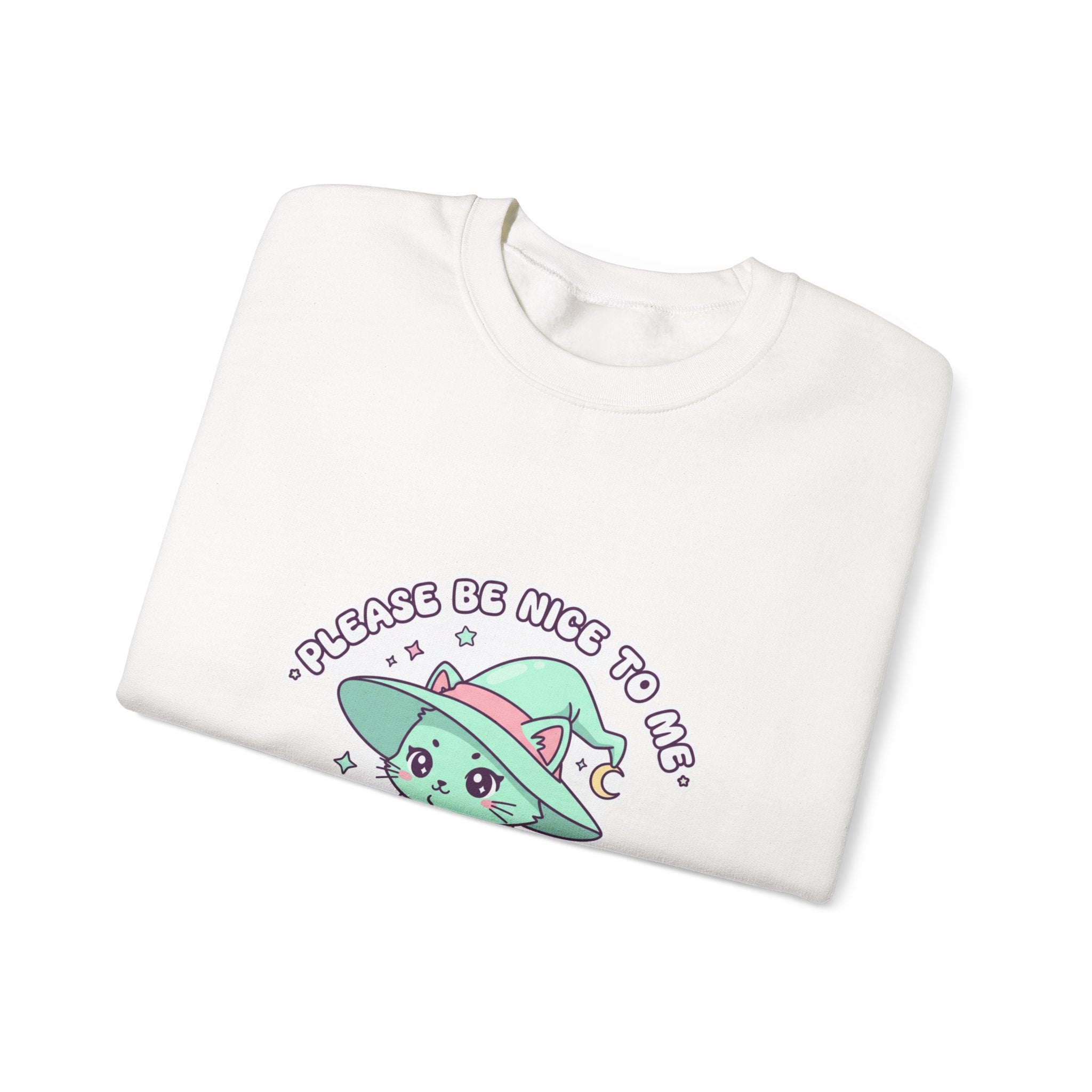 Please Be Nice To Me Sweatshirt | Soft Threat kawaii menacing pastel