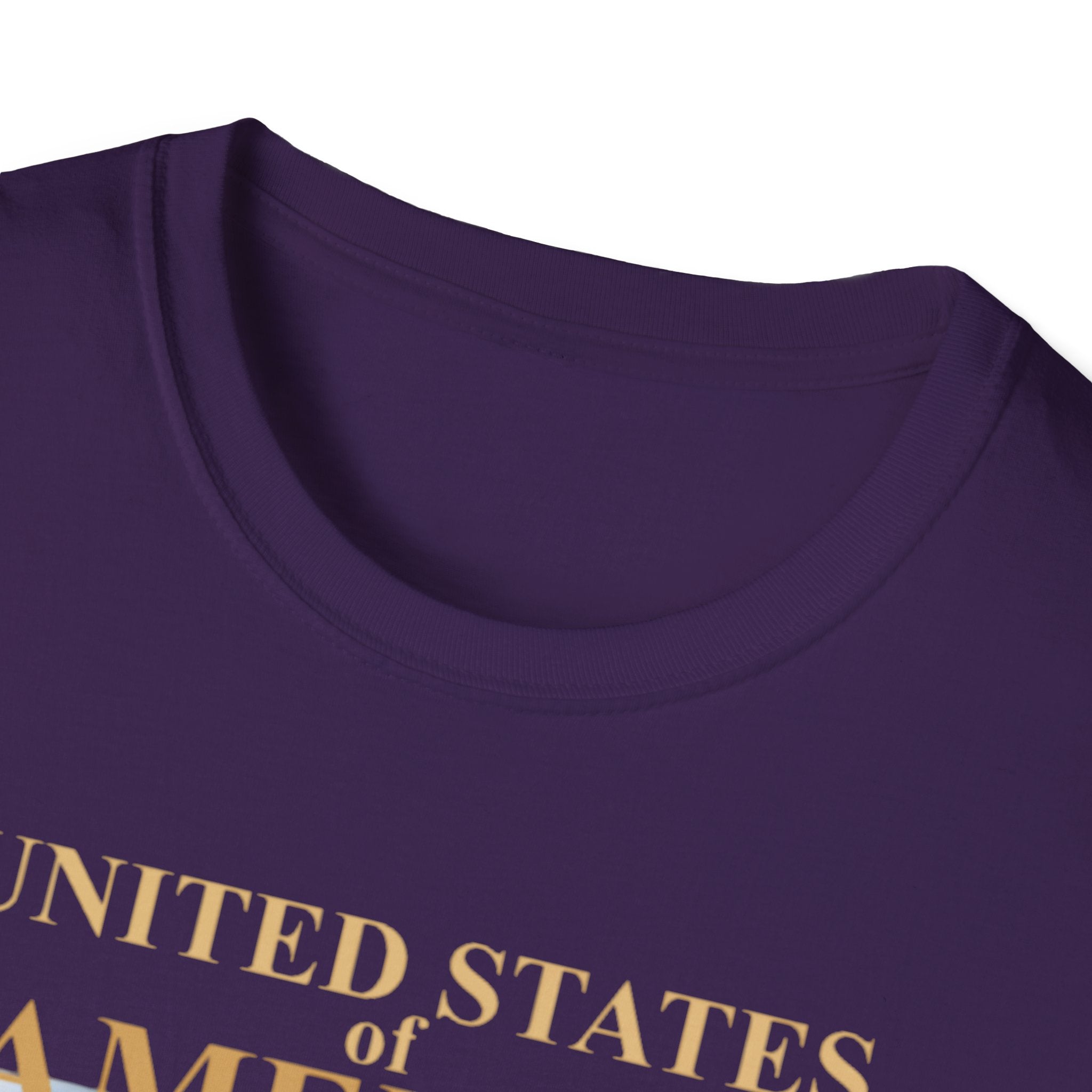 America 250th Anniversary T-Shirt – Bald Eagle, Flag & Liberty Icons (1776–2026)