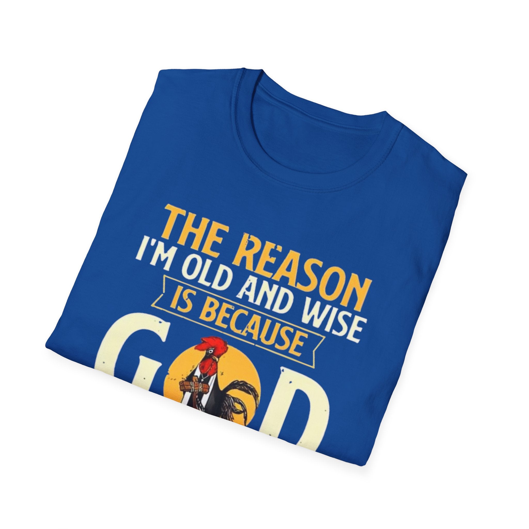 T-Shirt — "The Reason I’m Old and Wise Is Because God Protected Me When I Was Young and Stupid" Christian Faith Tee