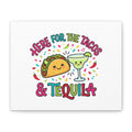 Here for the Tacos & Tequila Canvas | Cinco de Mayo fiesta decor