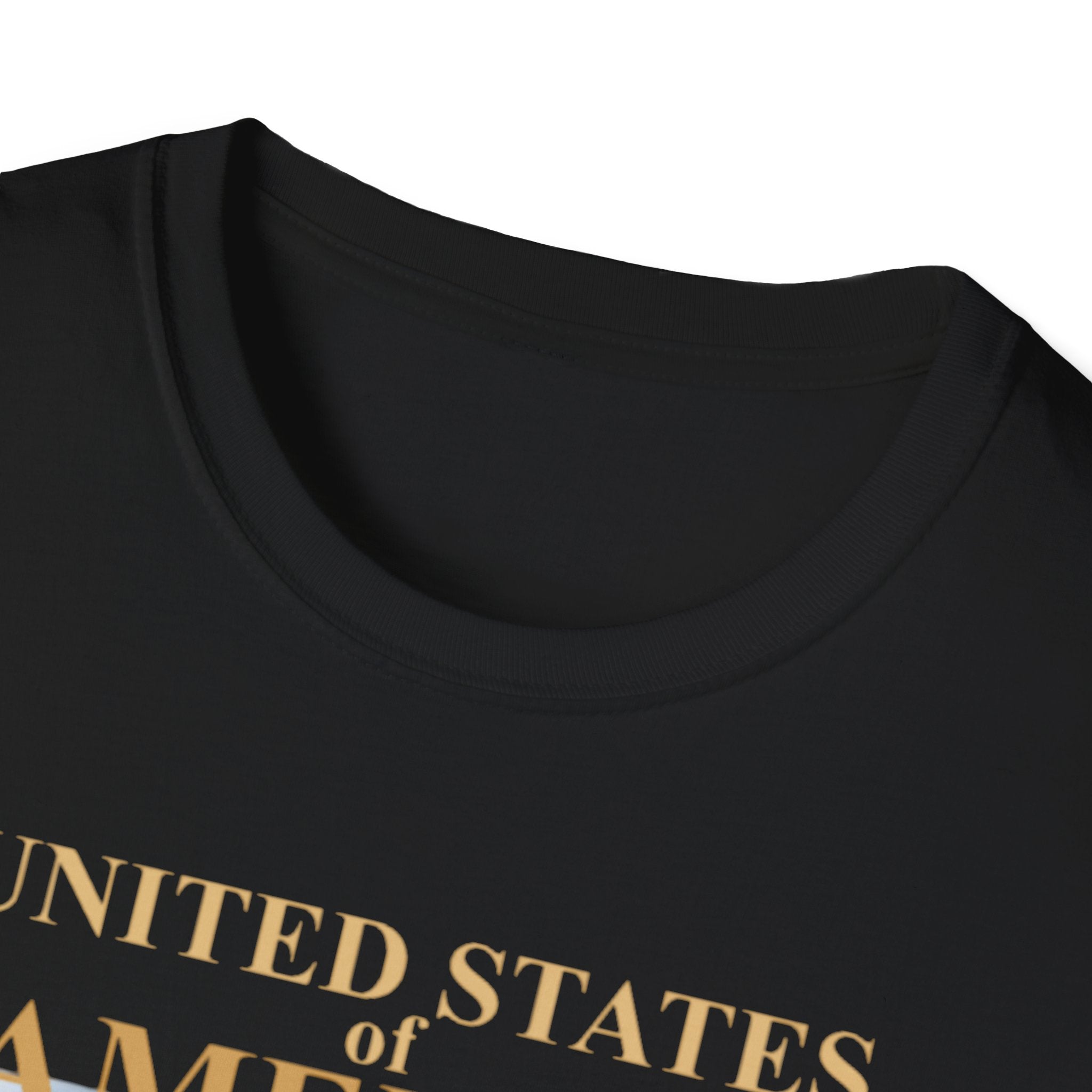 America 250th Anniversary T-Shirt – Bald Eagle, Flag & Liberty Icons (1776–2026)