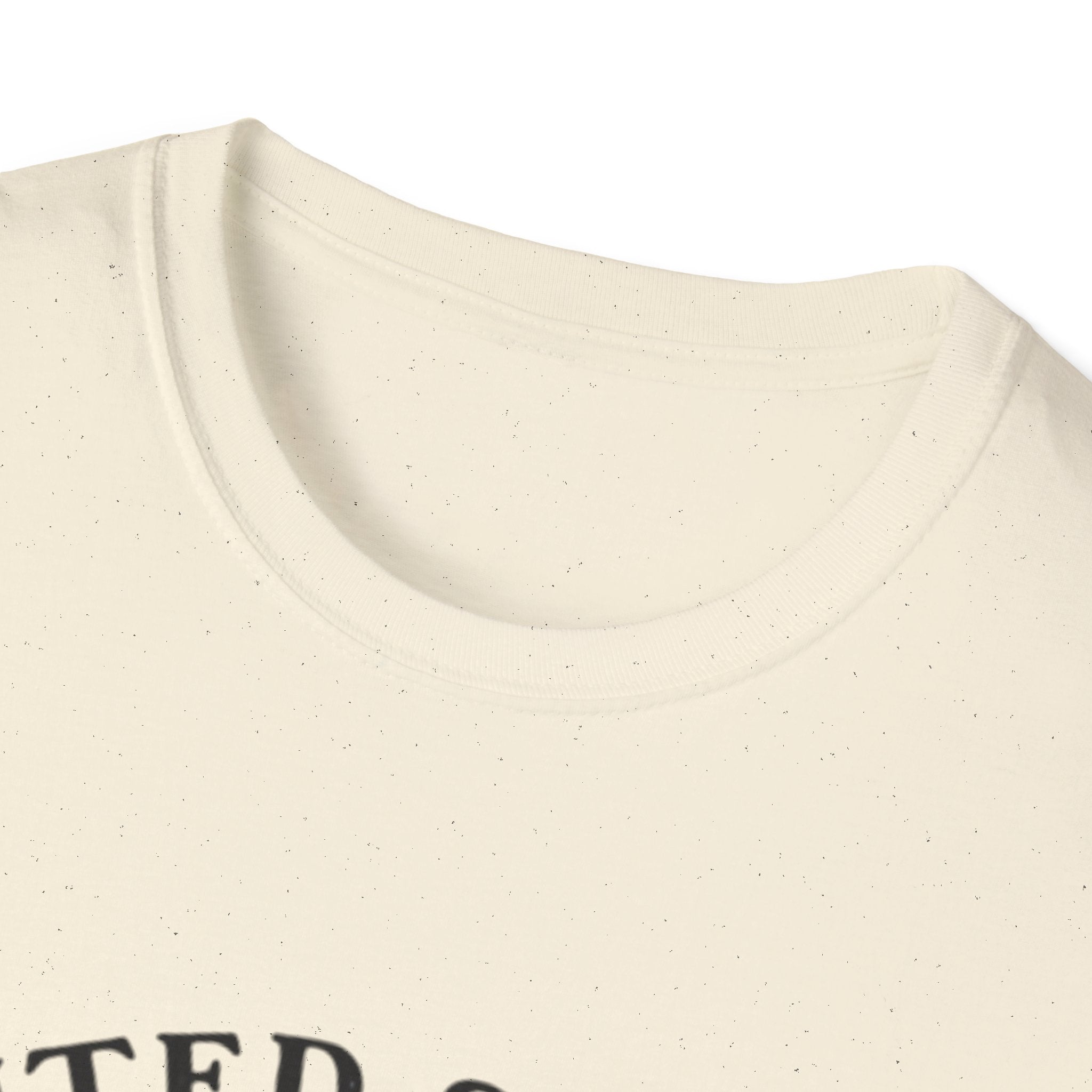 250th Anniversary T-Shirt — United States of America 1776–2026 Flag Tee