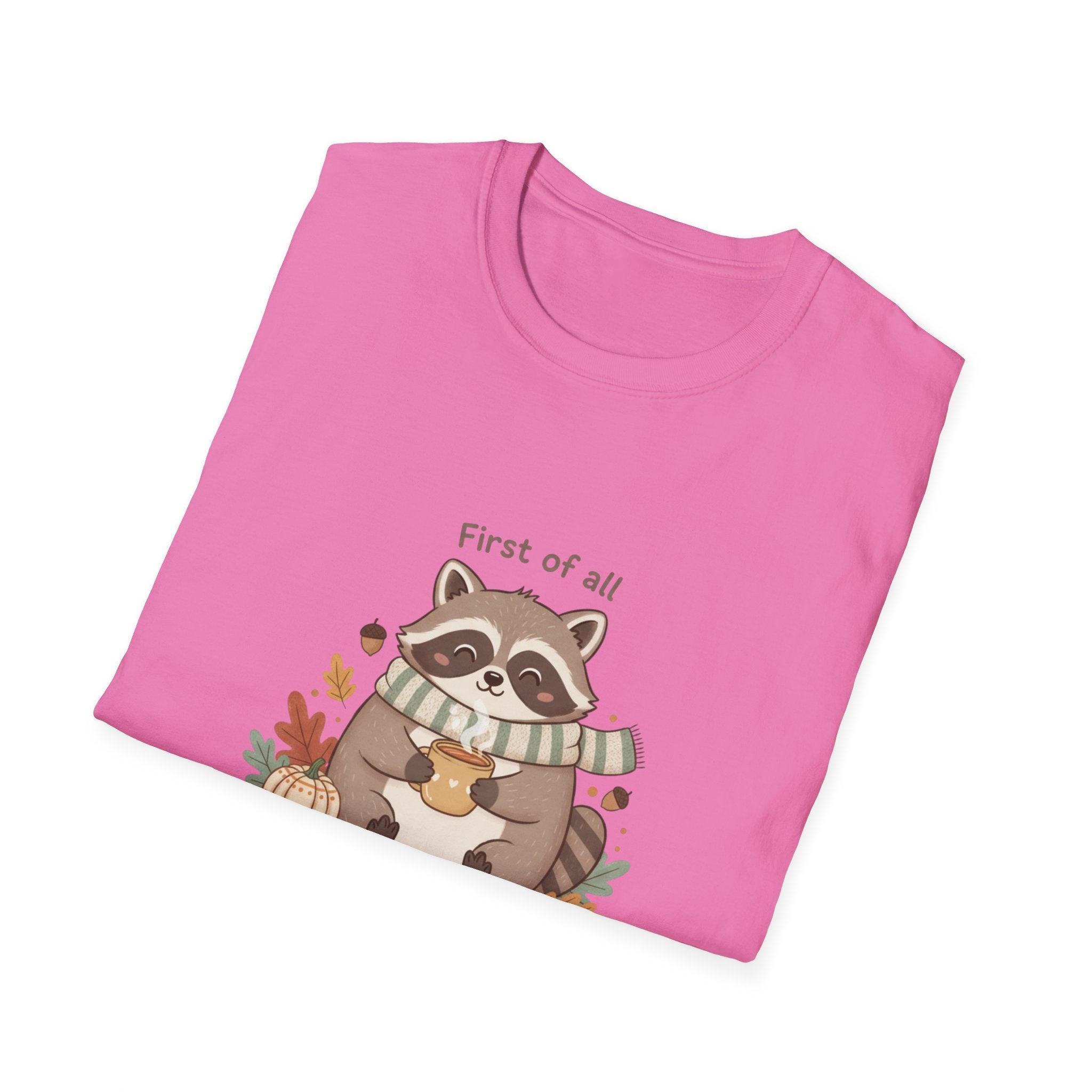 Cozy Raccoon Autumn Shirt | I'm a delight tee