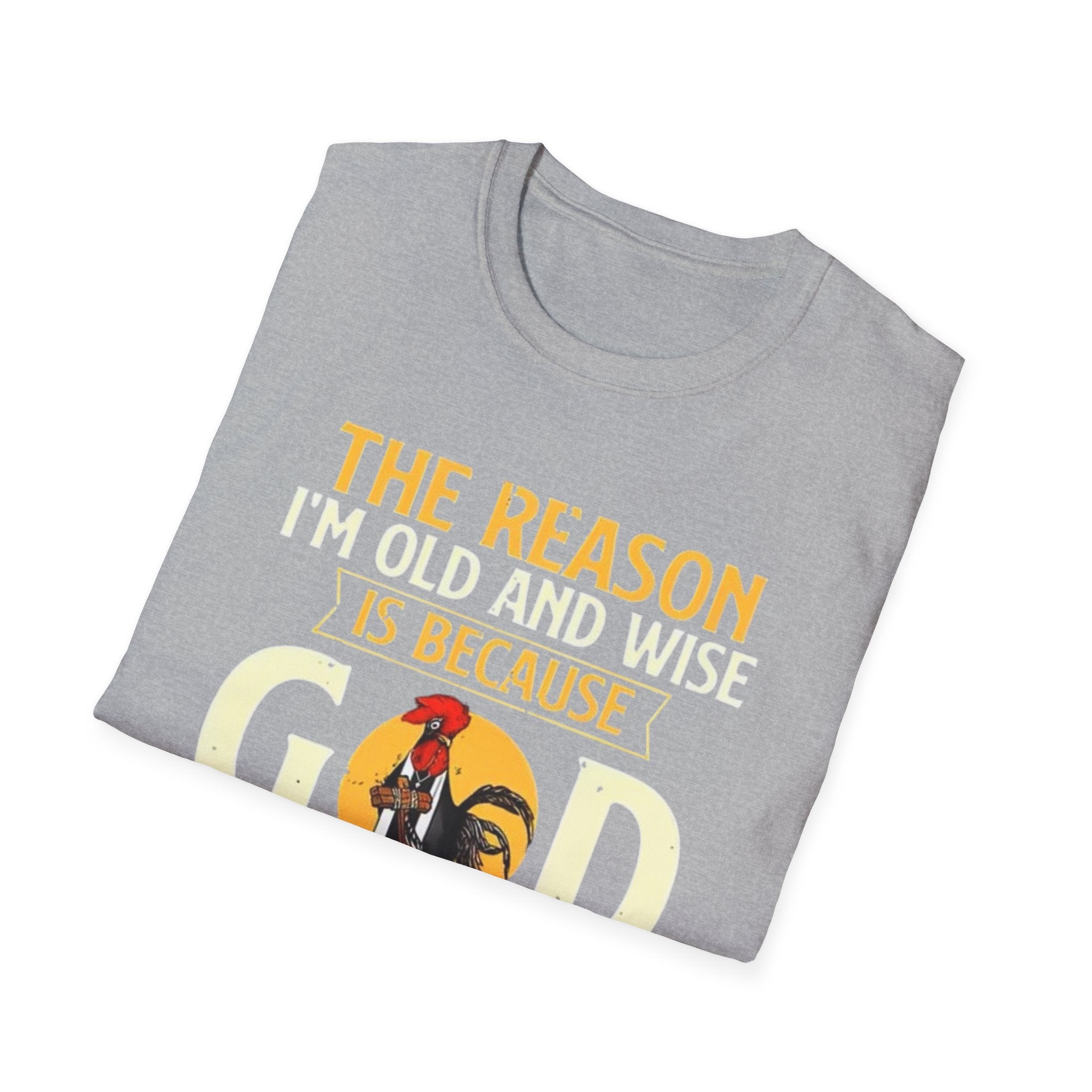T-Shirt — "The Reason I’m Old and Wise Is Because God Protected Me When I Was Young and Stupid" Christian Faith Tee