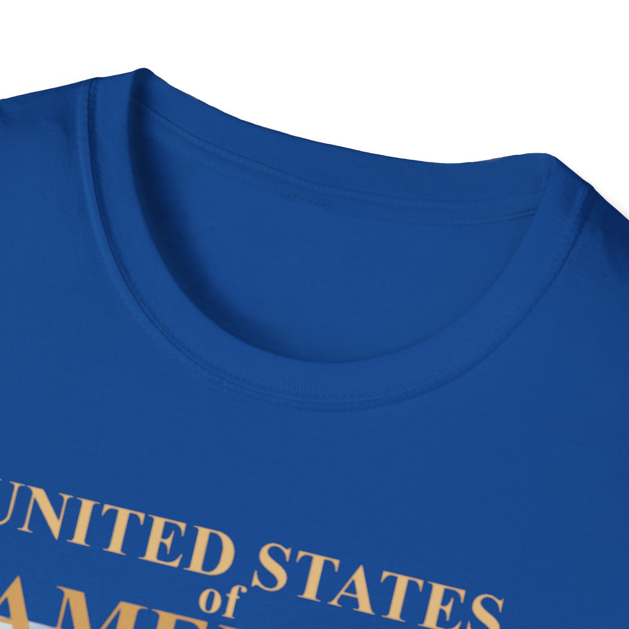 America 250th Anniversary T-Shirt – Bald Eagle, Flag & Liberty Icons (1776–2026)