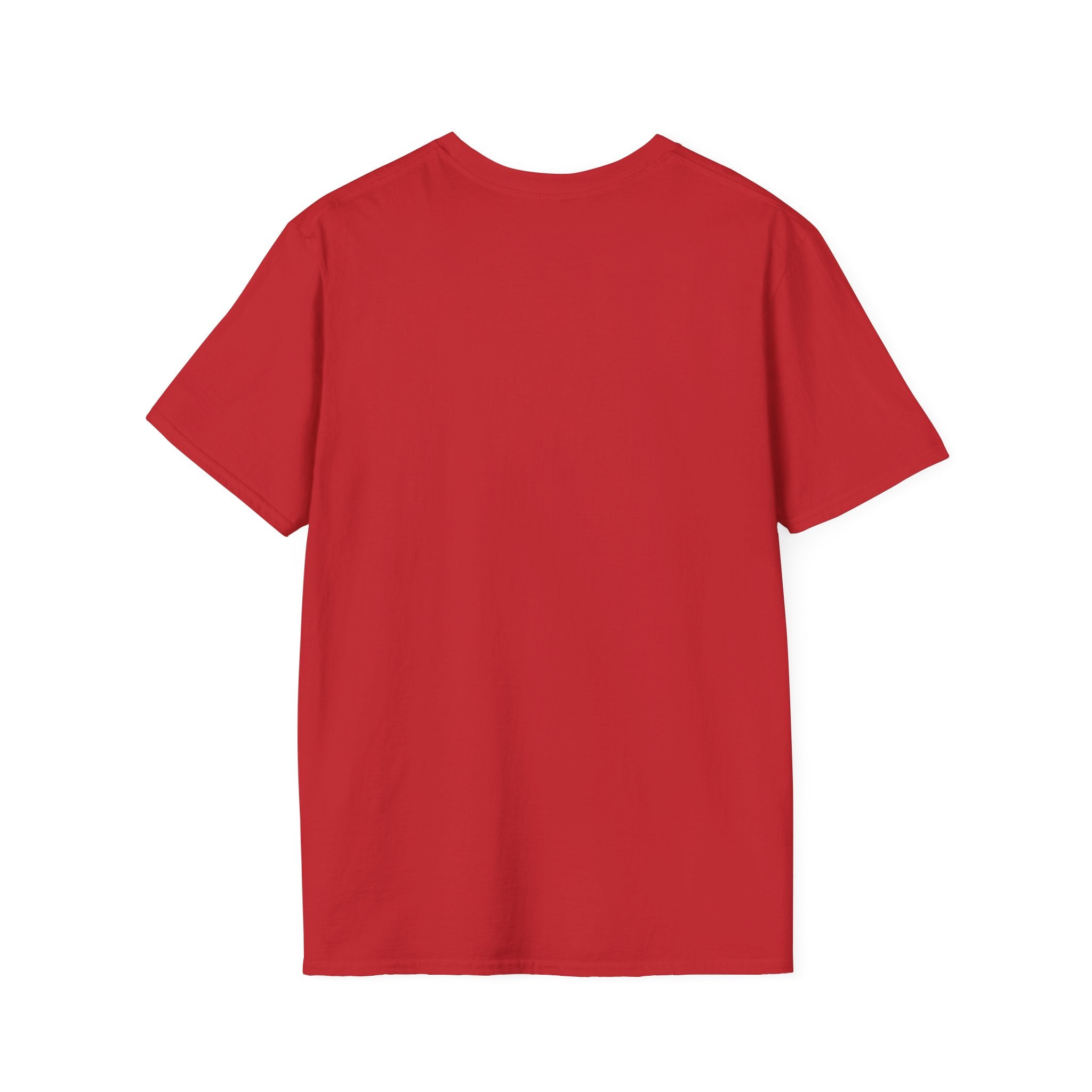 250th Anniversary T-Shirt — United States of America 1776–2026 Flag Tee