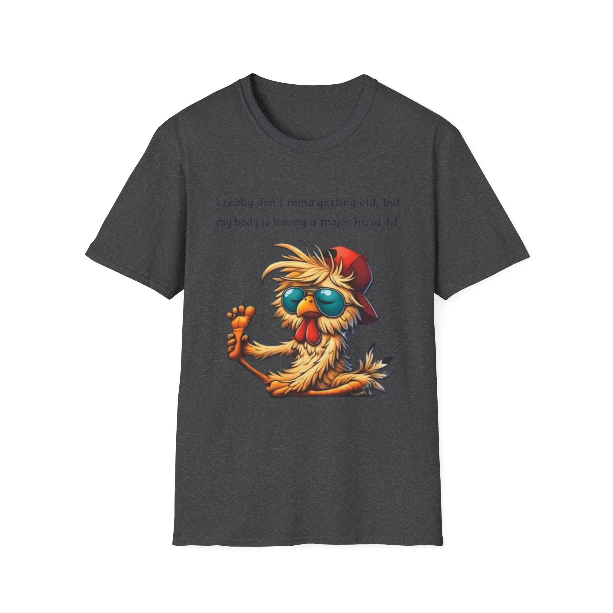 Funny Retirement T-Shirt — "I Really Don't Mind Getting Old, My Body Is Having a Major Hissy Fit"
