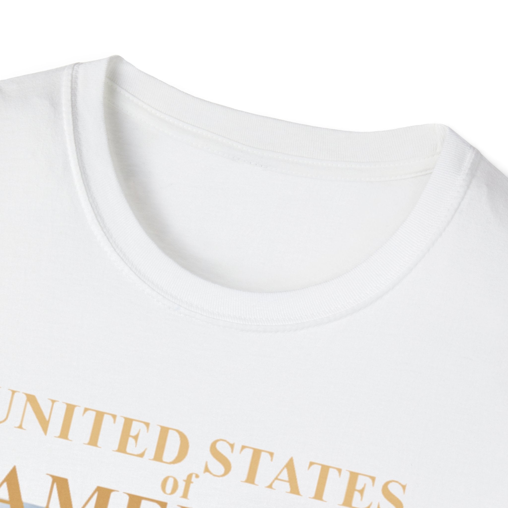 America 250th Anniversary T-Shirt – Bald Eagle, Flag & Liberty Icons (1776–2026)